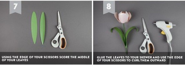 Bước 4. Tạo hình lá. Bạn dùng kéo vuốt nhẹ tạo độ cong cho 2 chiếc lá sau đó dùng keo gắn cố định vào phần gốc dưới của bông hoa. Vậy là bạn đã làm xong bông hoa tulip bằng giấy rồi. Hãy làm thêm vài bông hoa nữa để cắm lọ cho căn phòng thêm phong cách hơn bạn nhé.