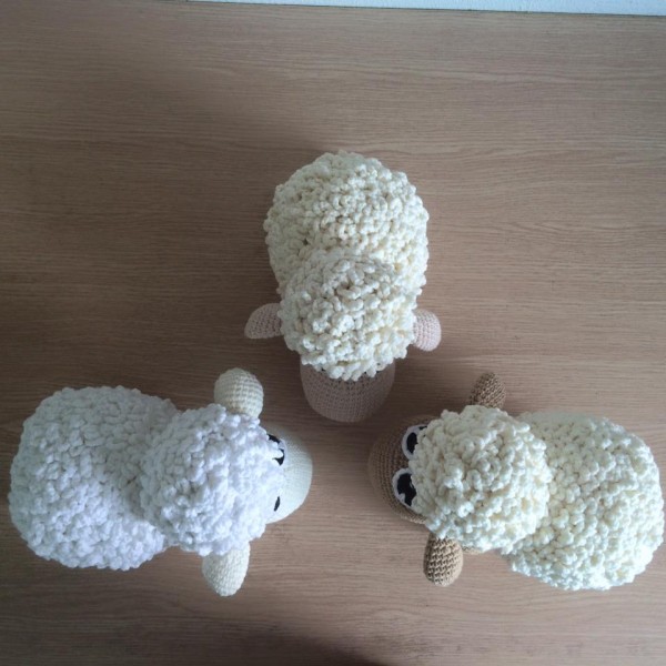 3 em cừu chụm đầu vào nhau.