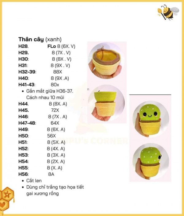 Chart móc chậu hoa sương rồng phần thân cây.