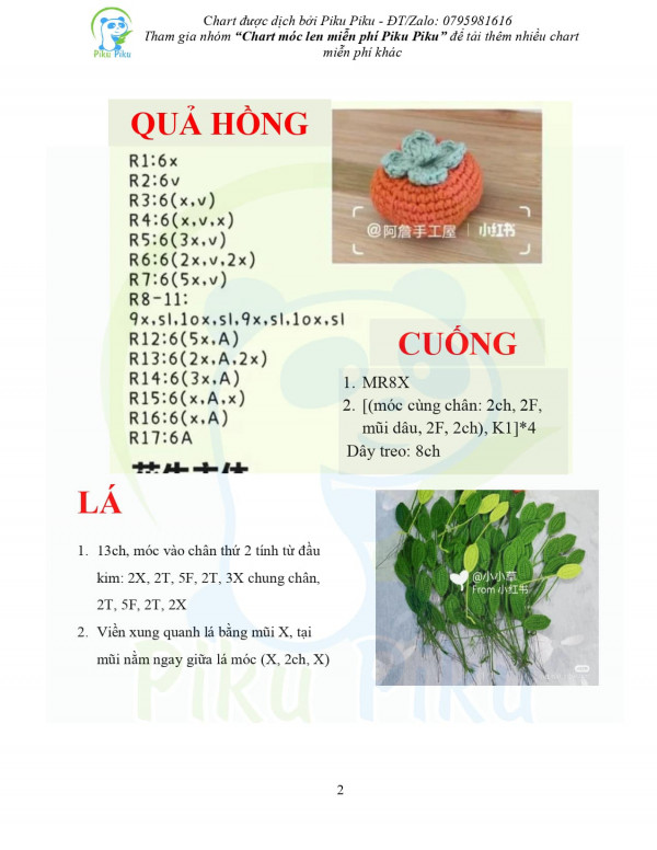 Phần quả hồng,
cuống, lá.