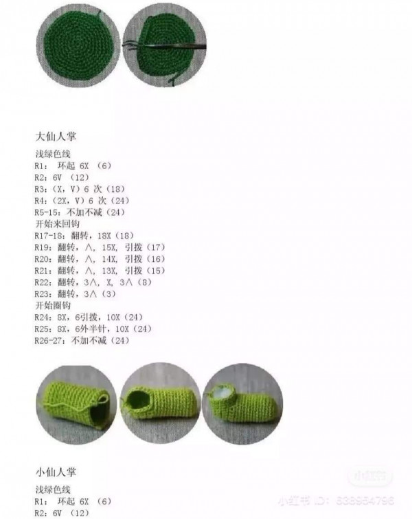 Chart móc Plants Vs Zombies cactus sương rồng.