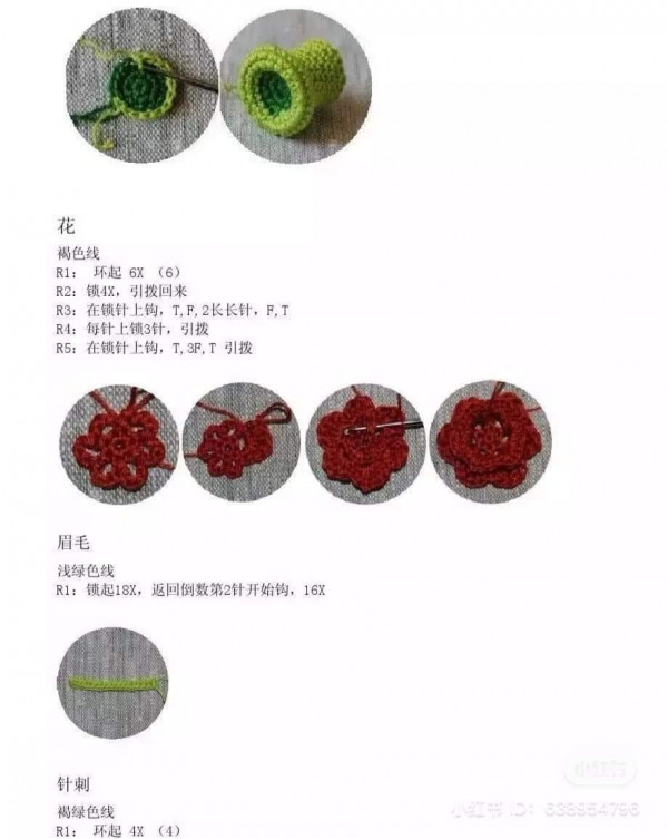 Chart móc Plants Vs Zombies cactus sương rồng.