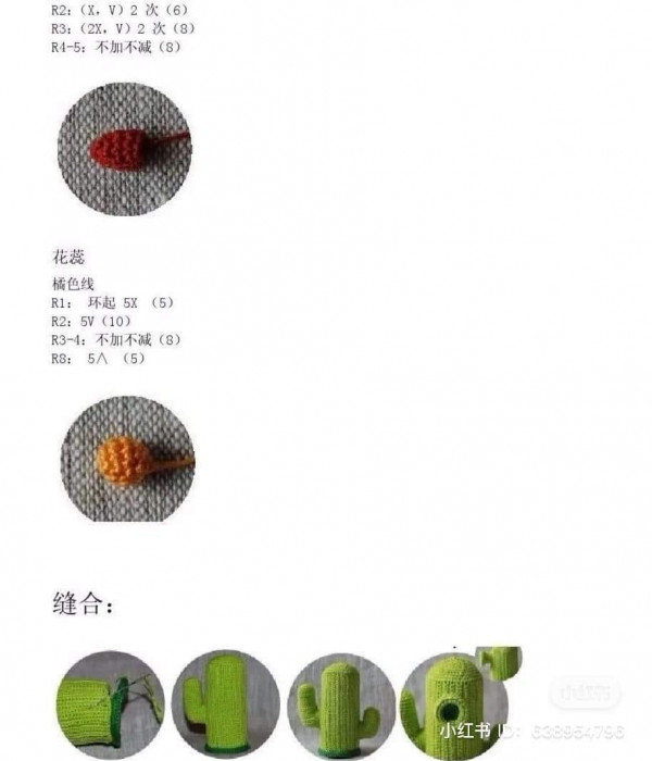 Chart móc Plants Vs Zombies cactus sương rồng.