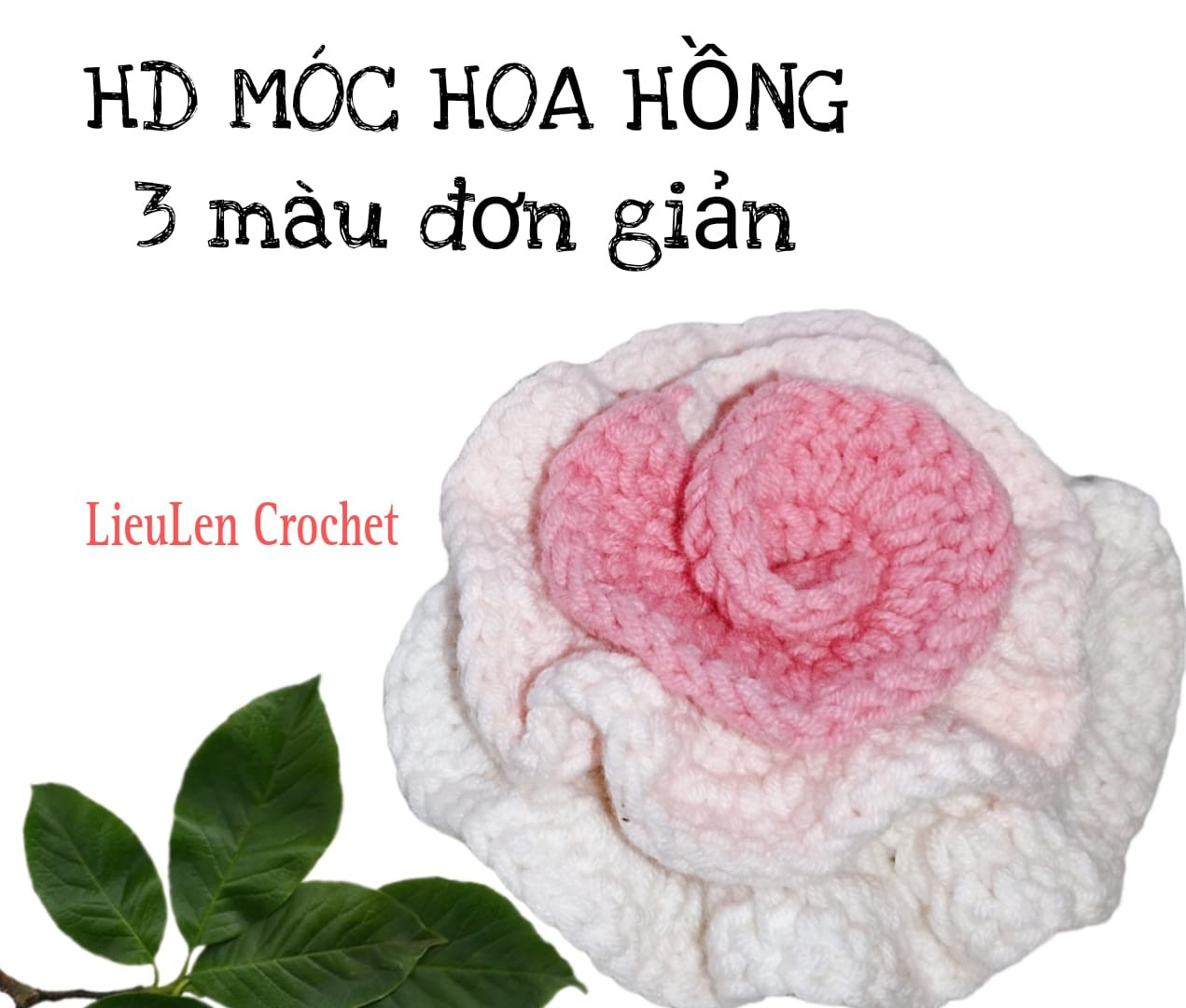 Chart móc hoa hồng mix ba màu.