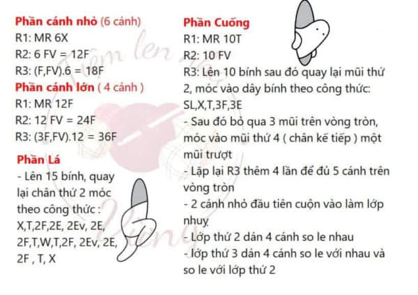 Chart móc hoa hồng trắng