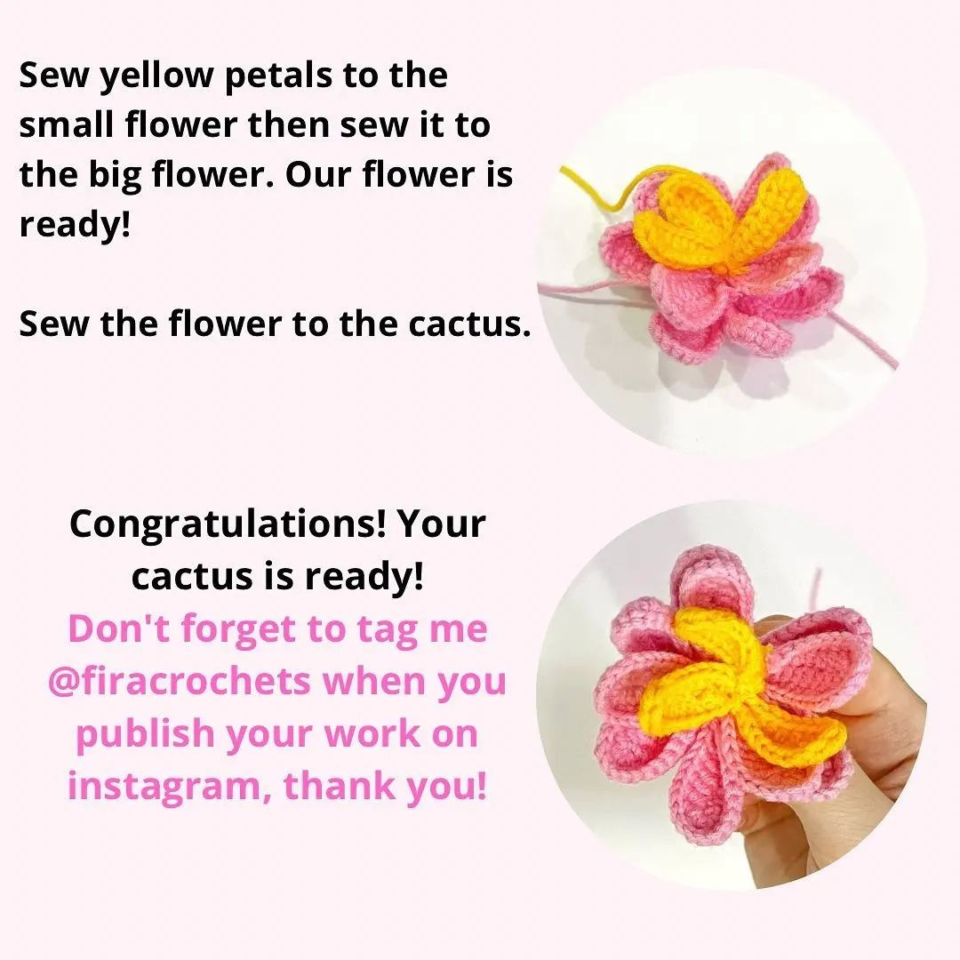Flowering cactus crochet pattern.