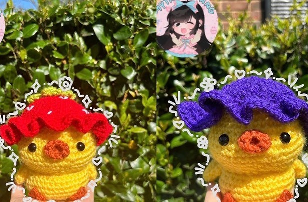 Free crochet pattern duck wearing frog hat