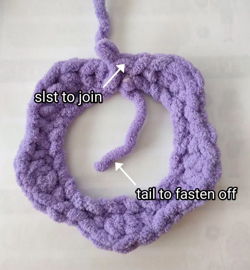 Blue body, white face, purple flower rim.crochet pattern