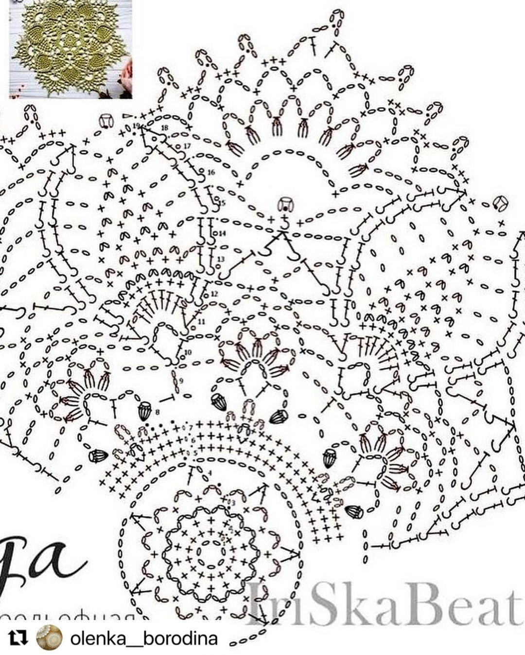 free crochet pattern circle with leaves going from the center