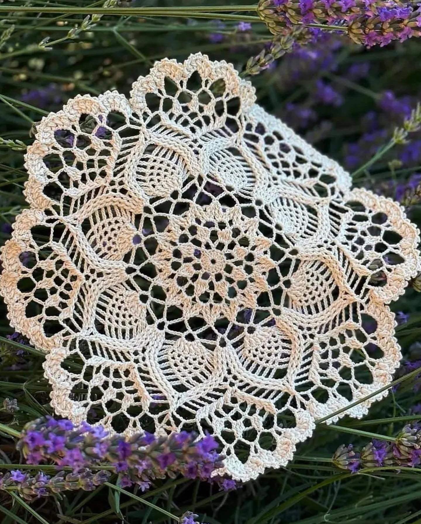 free crochet pattern circle with small circle in the center.The border is created by arcs.