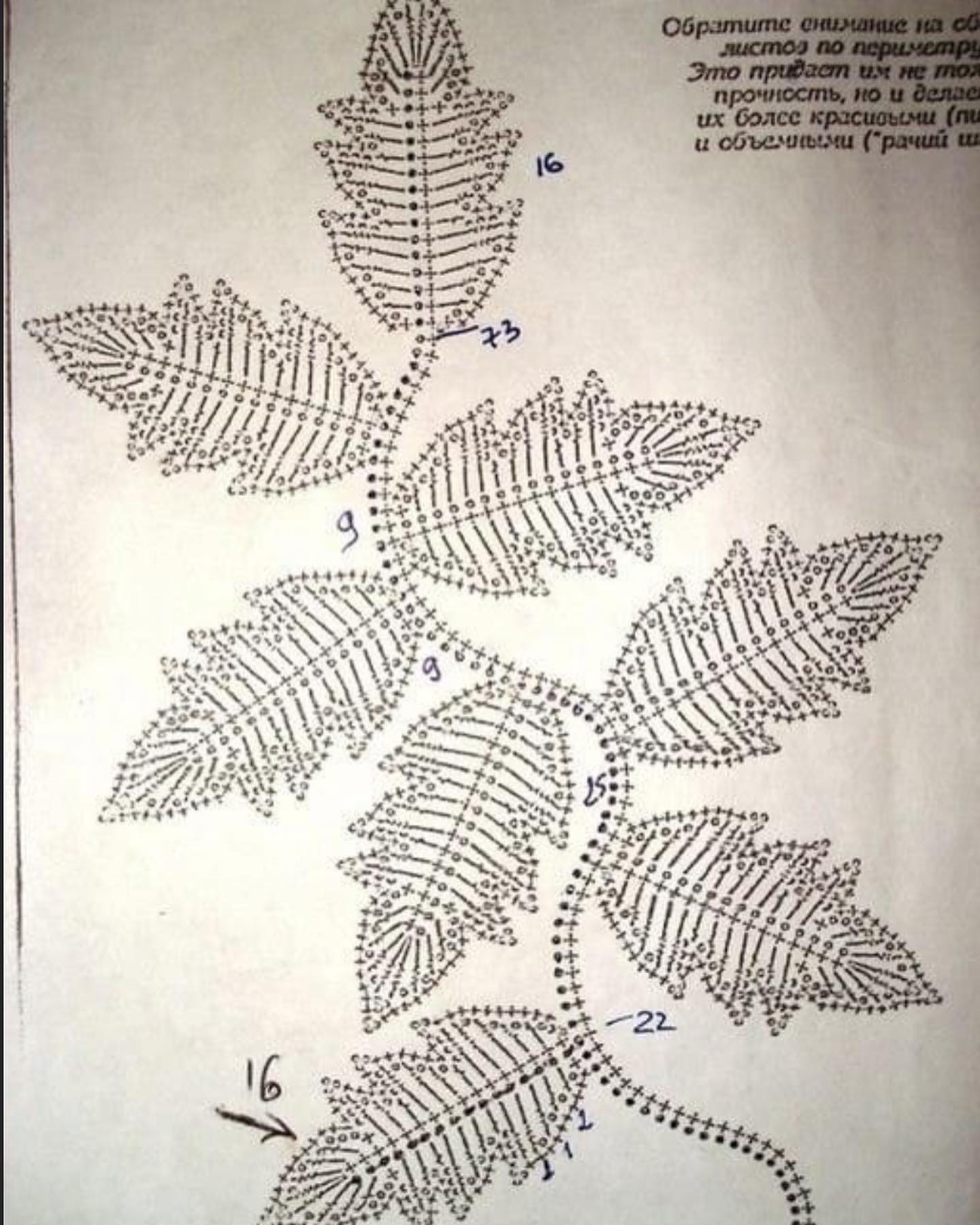 free crochet pattern leaf with five petals