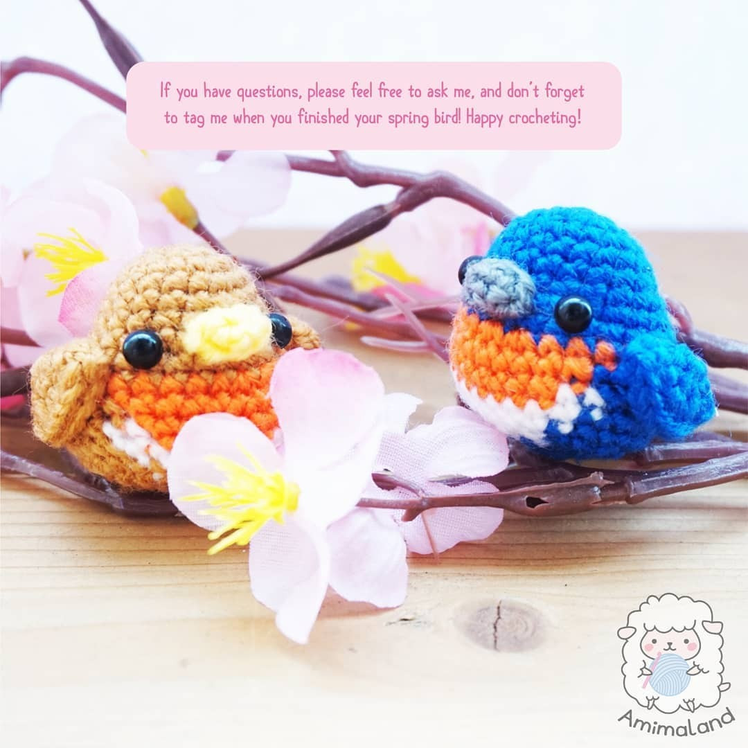 free crochet pattern robin a spring bird