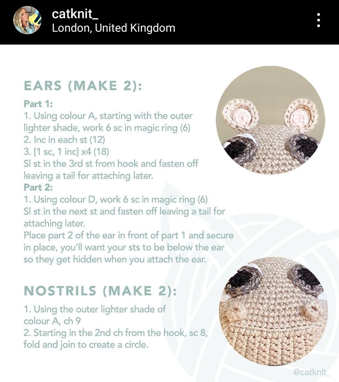 baby hippo free pattern