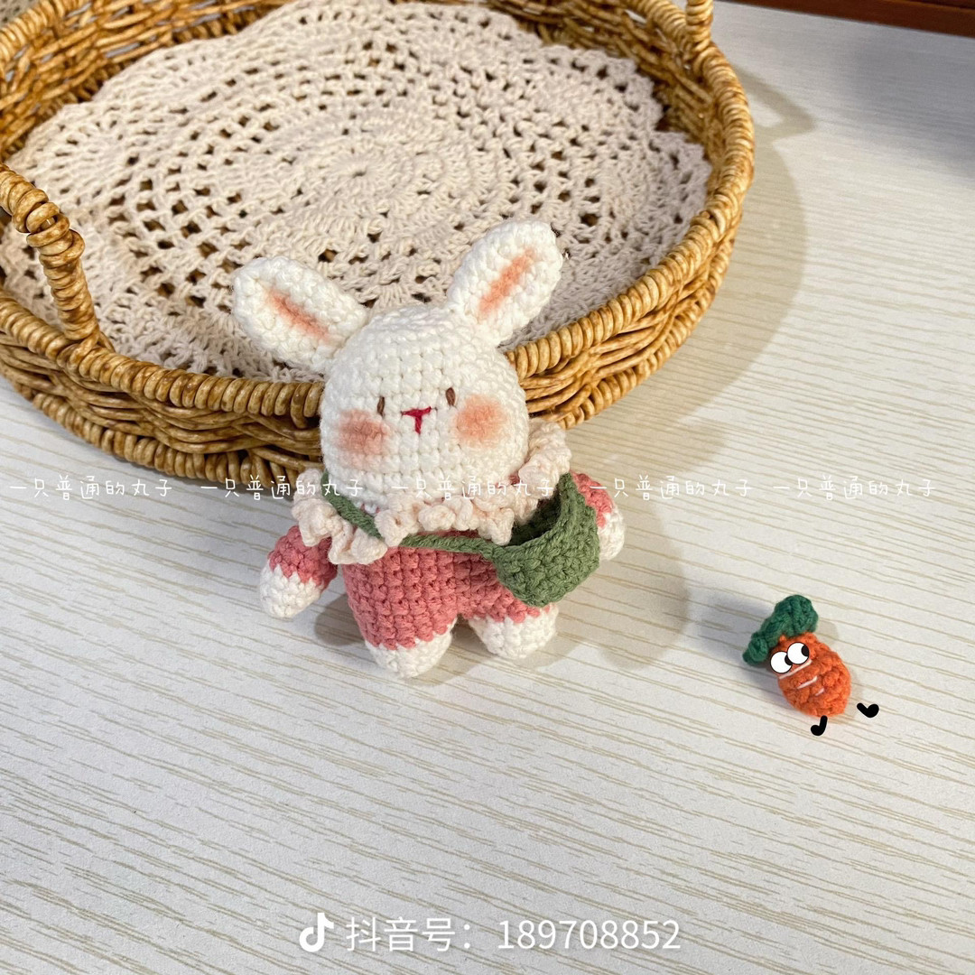 bunny wearing carrot bag crochet pattern