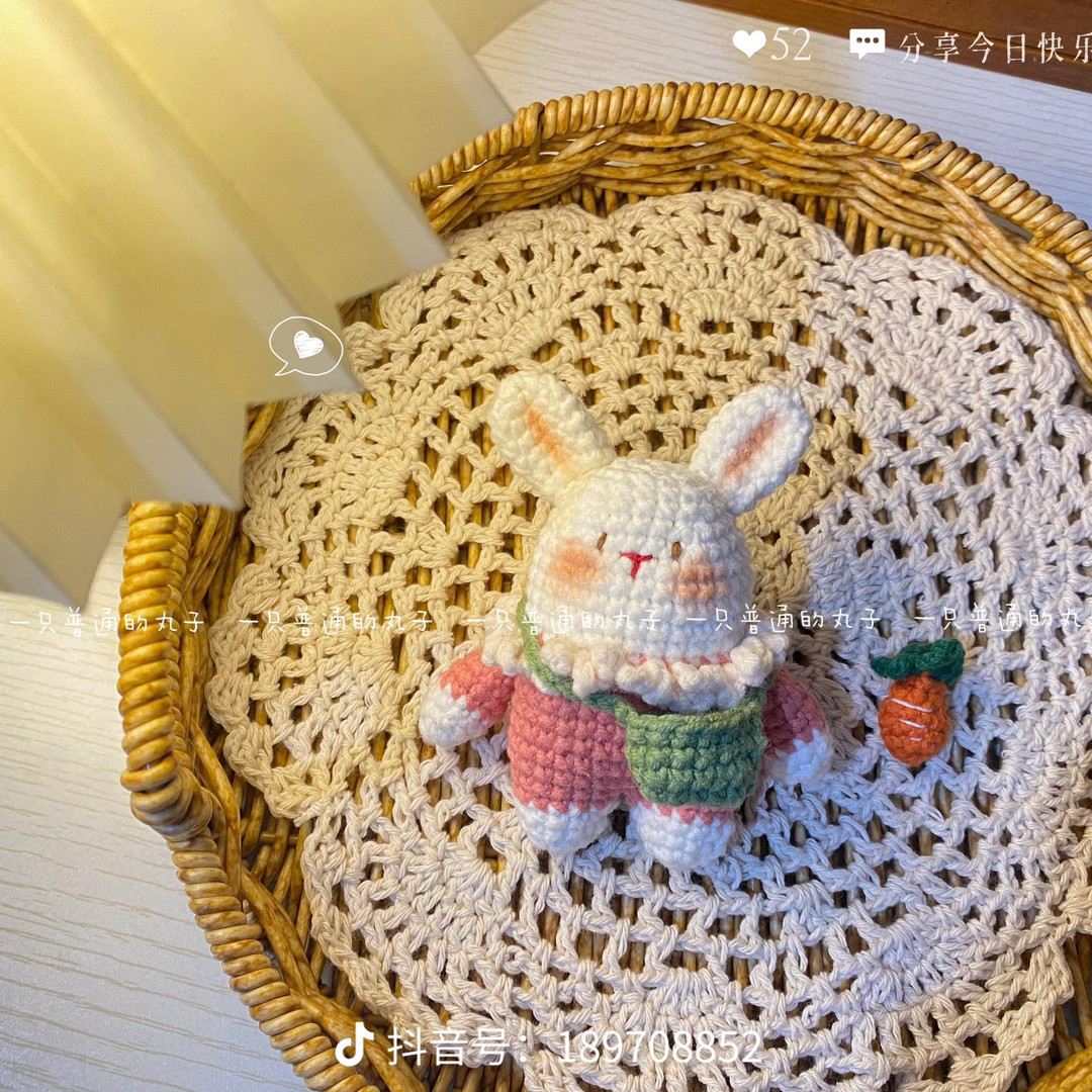 bunny wearing carrot bag crochet pattern