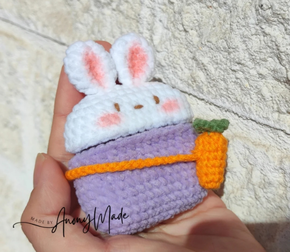 Carrot rabbit headphone case