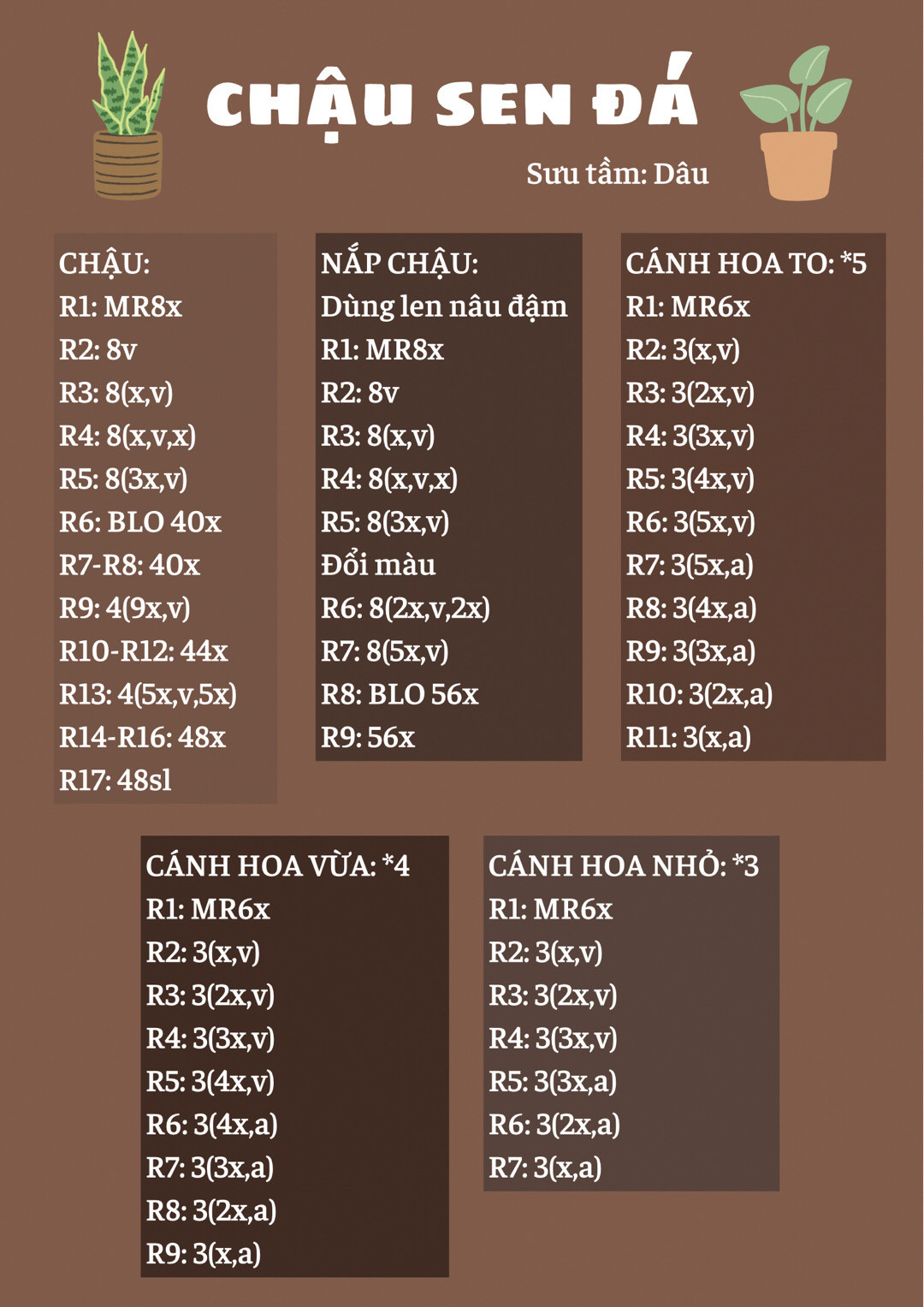 chart móc chậu sen đá