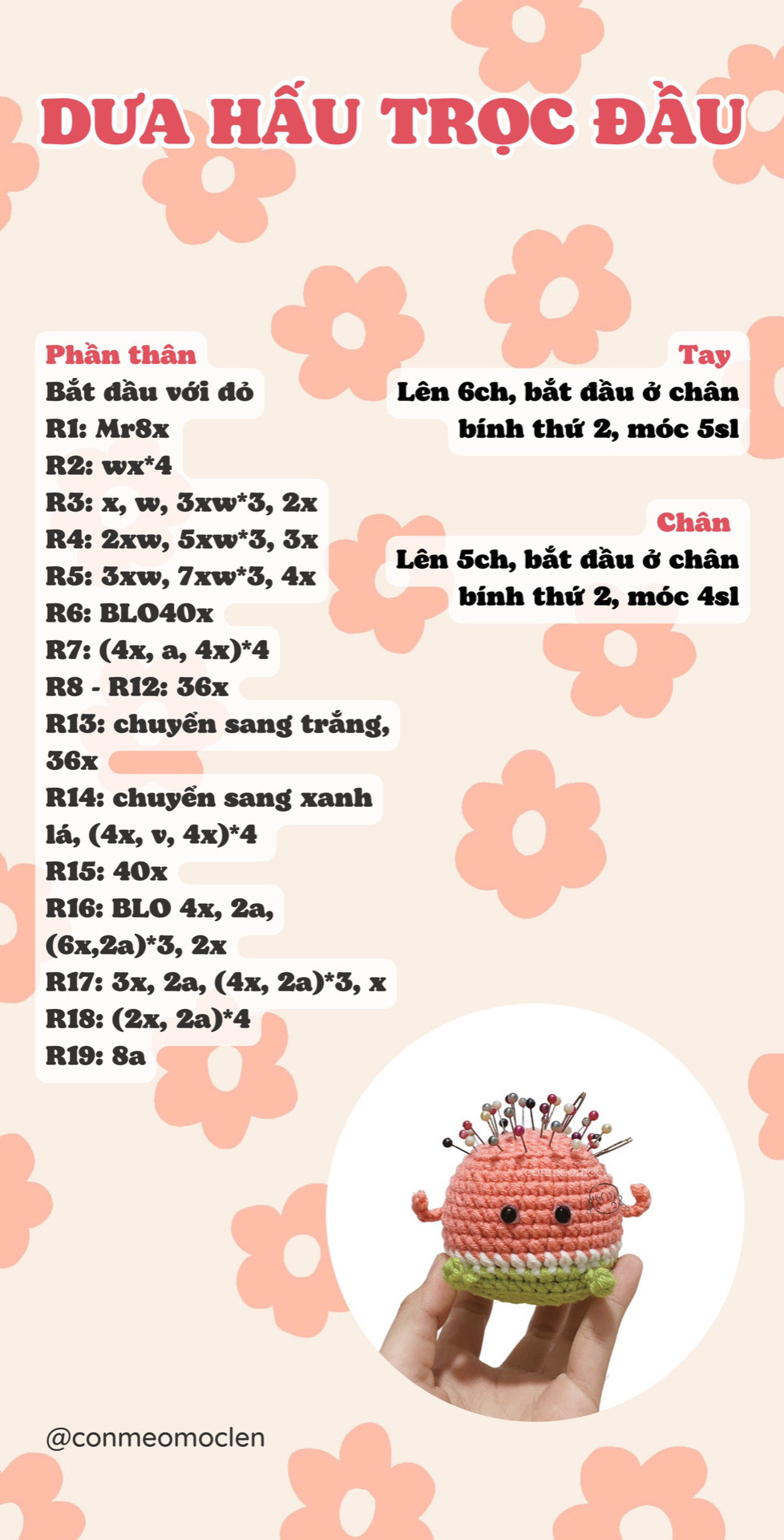 Chart móc dưa hấu trọc đầu.