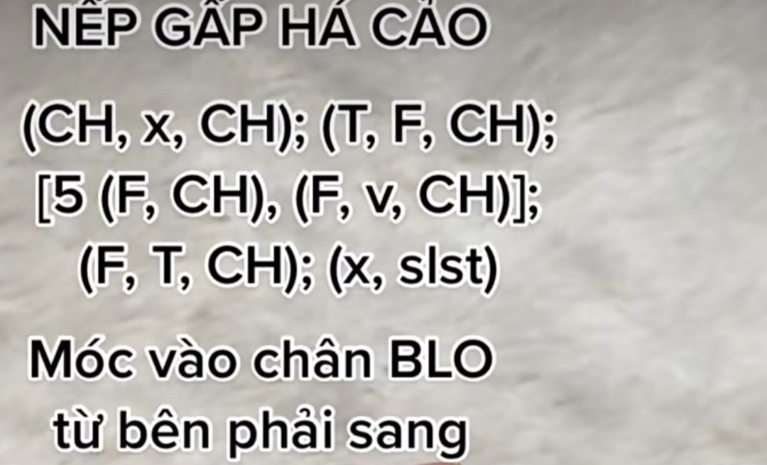 Chart móc heo há cảo, heo màu hồng há cảo màu trắng