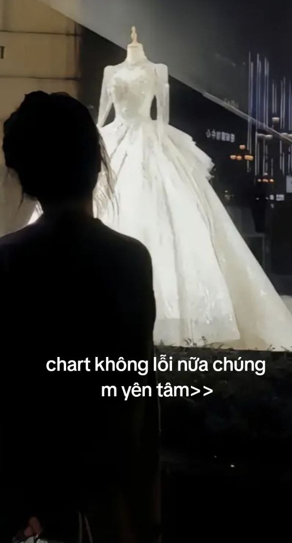 chart móc mèo béo hà anh dịch