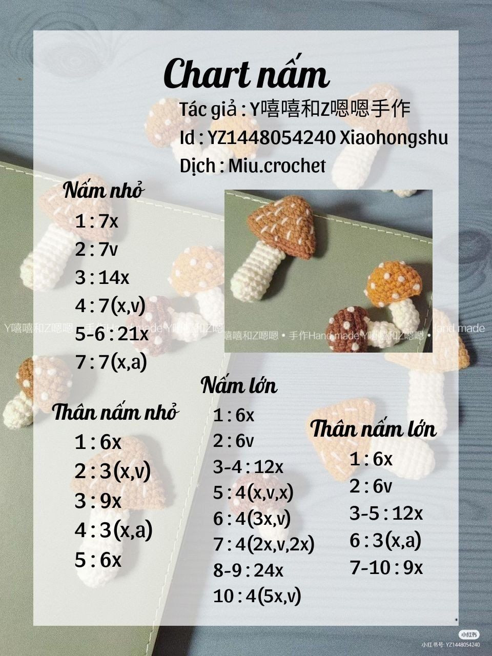 chart nấm mũ màu nâu, thân màu trắng.