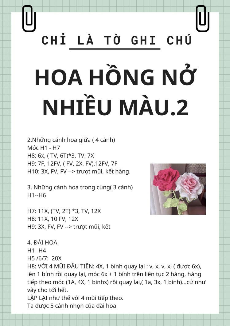 Hoa hồng nở nhiều màu.