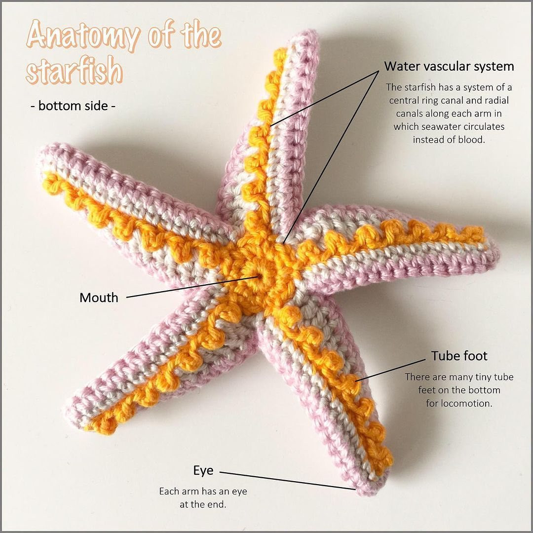 starfish crochet pattern