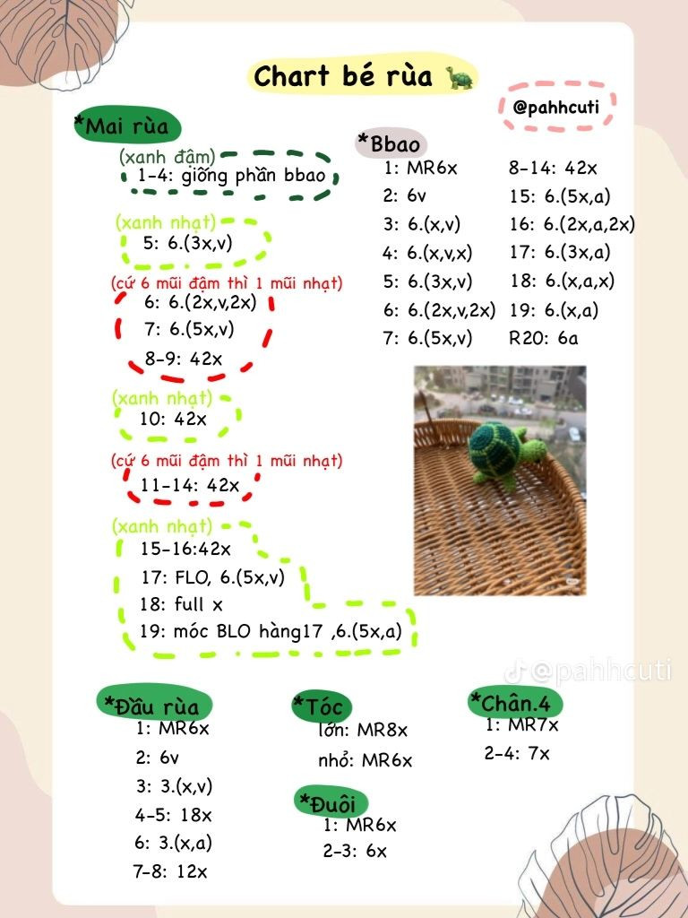 chart bé rùa