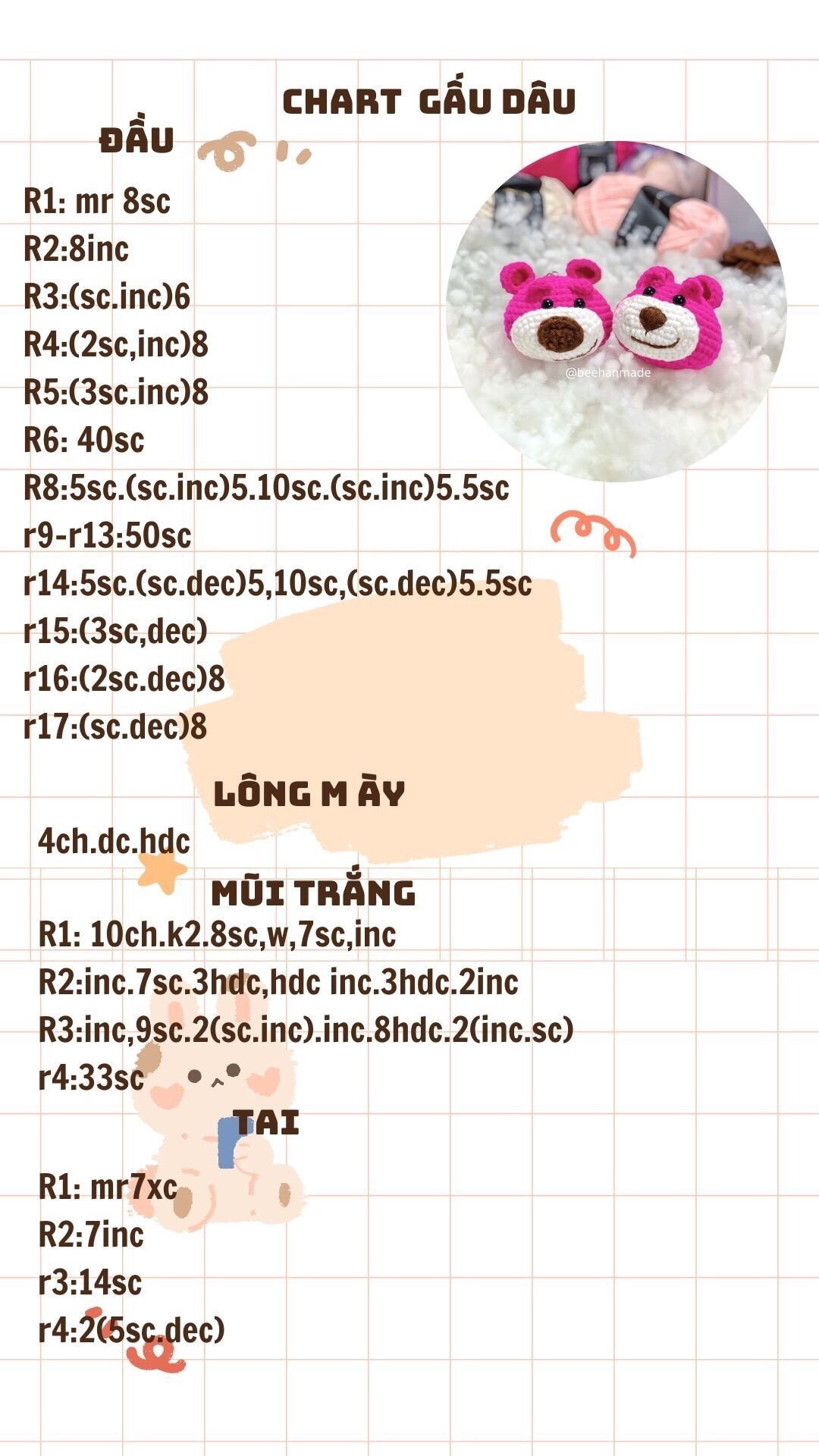 chart gấu dâu, mõm màu trắng, mũi màu nâu