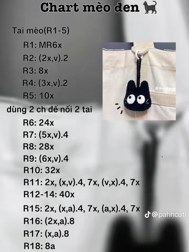 chart mèo đen