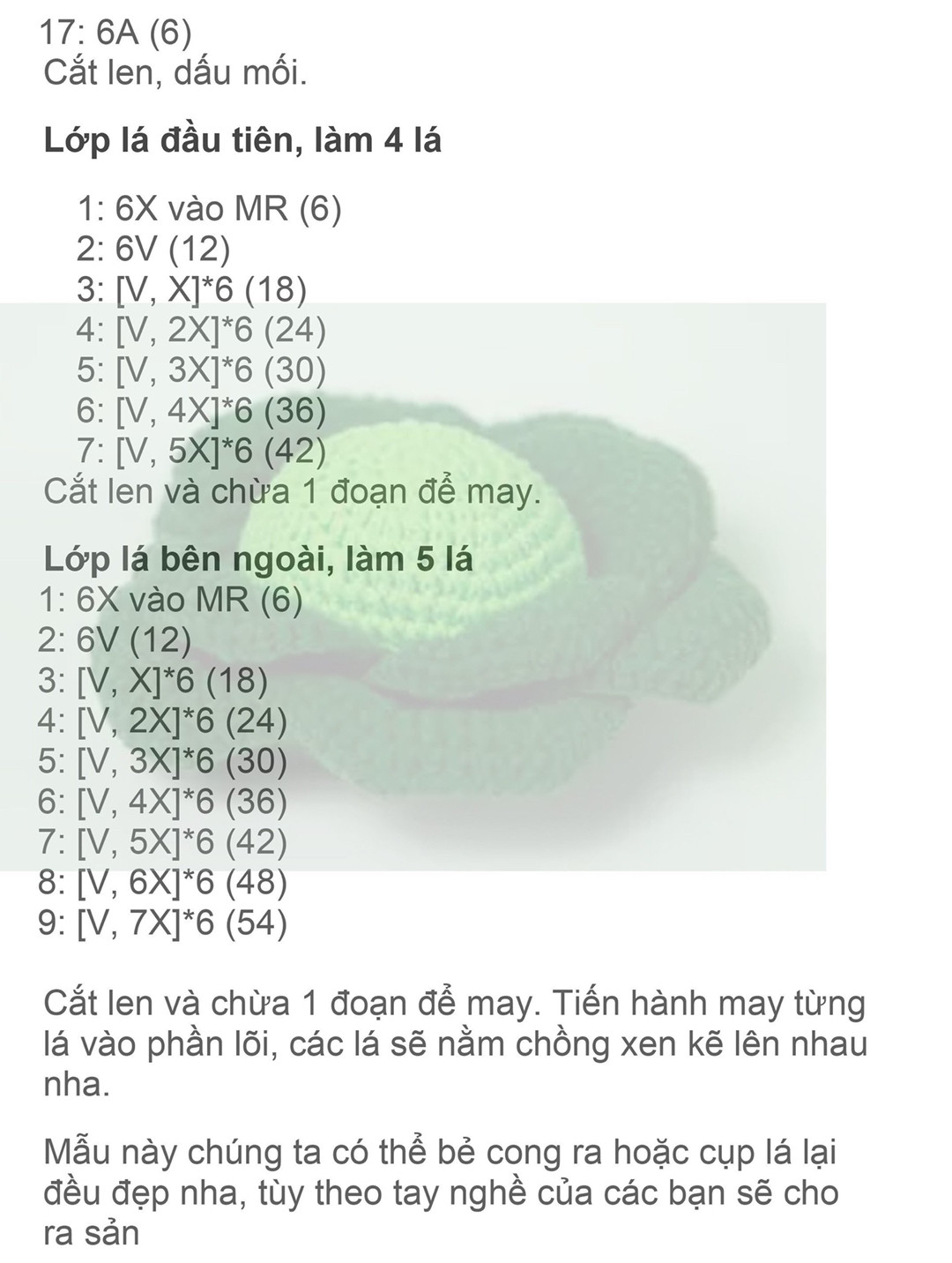 chart móc bắp cải