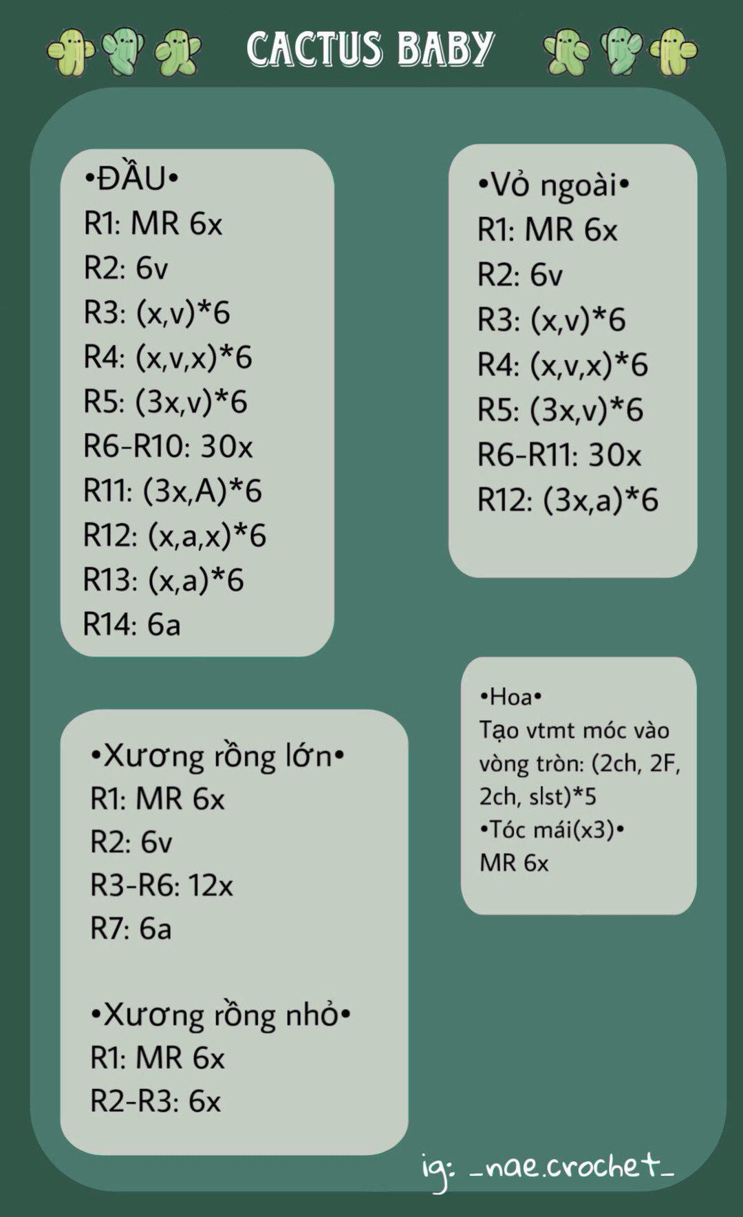 chart móc cactus baby