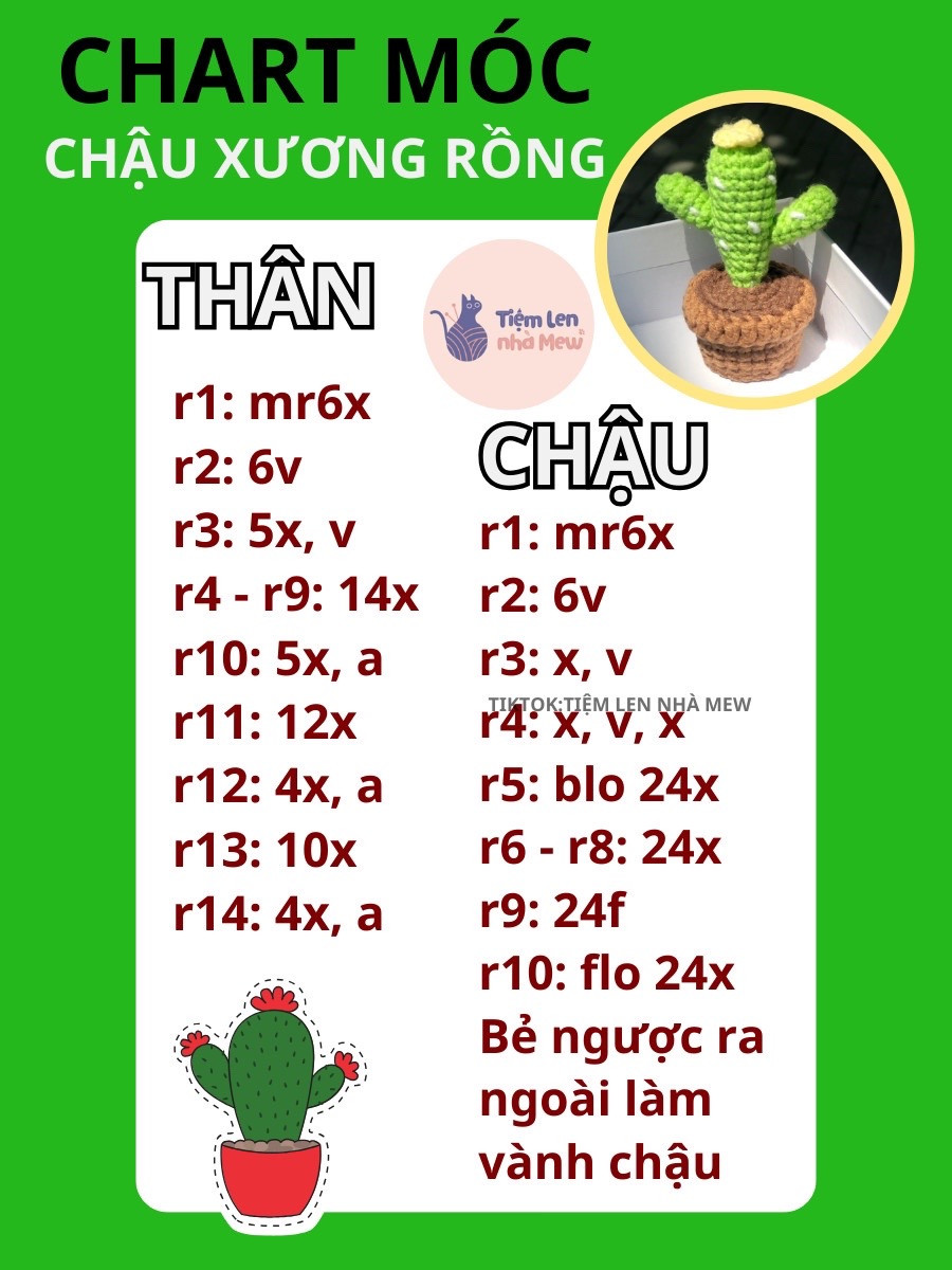 chart móc chậu xương rồng