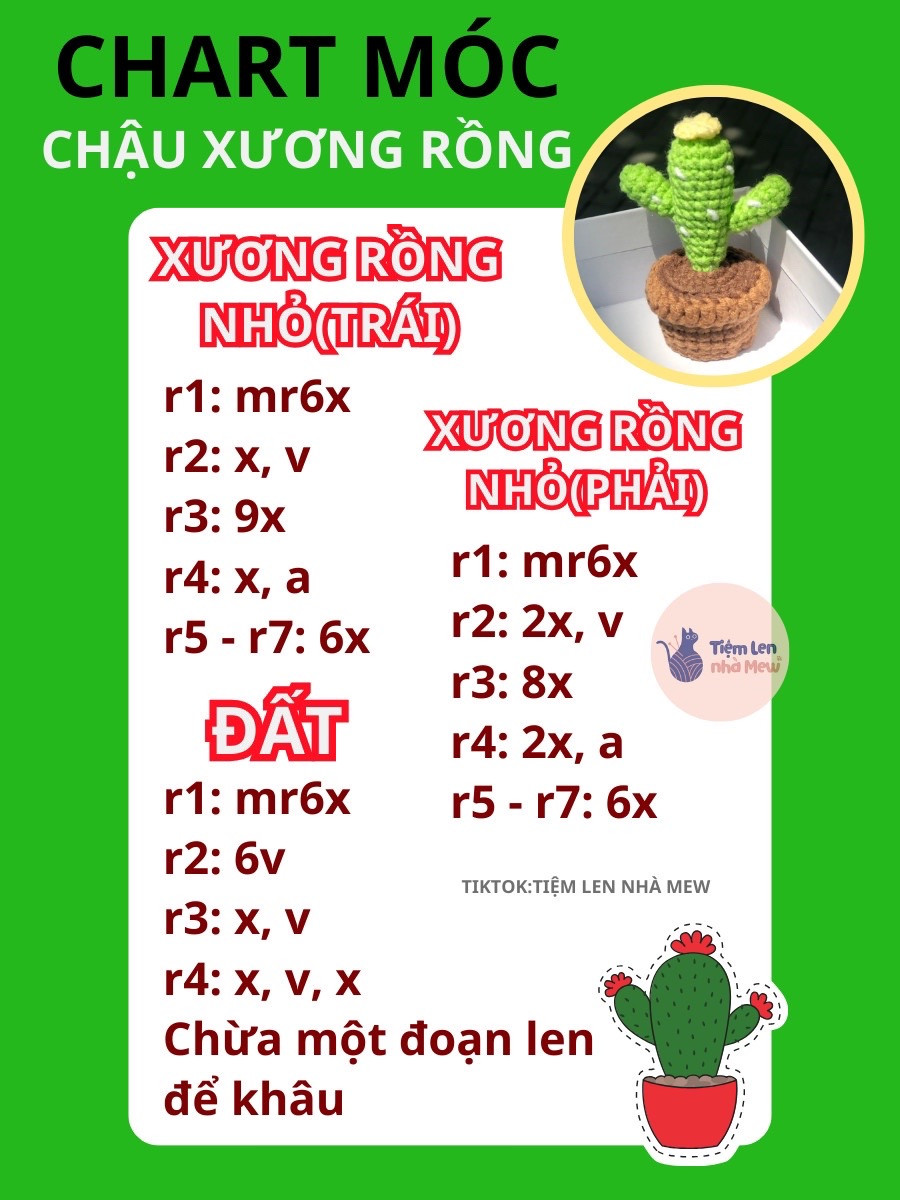 chart móc chậu xương rồng