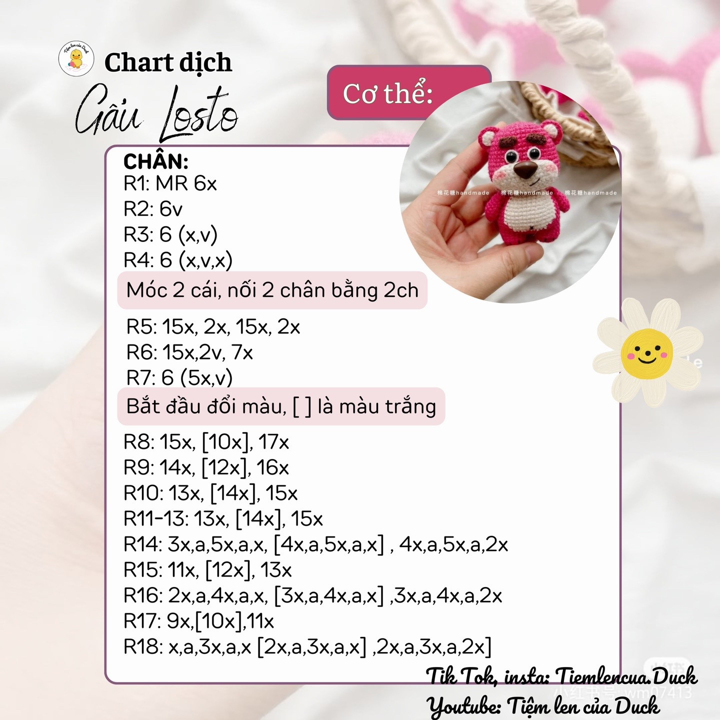 chart móc gấu losto