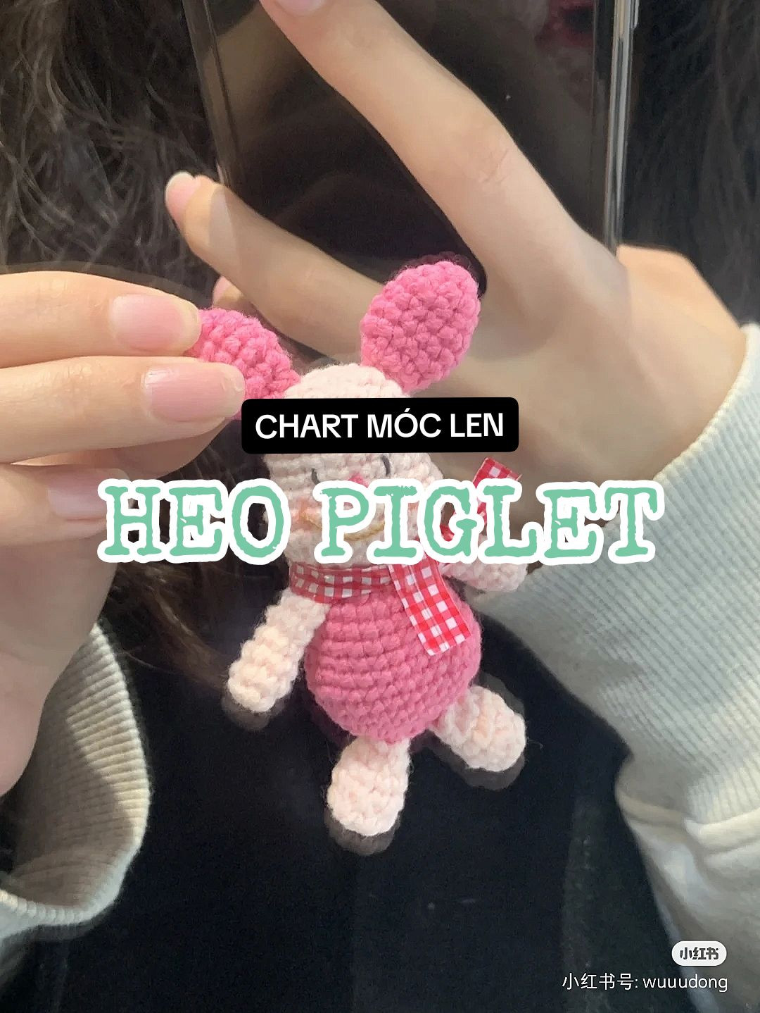 chart móc len heo piglet