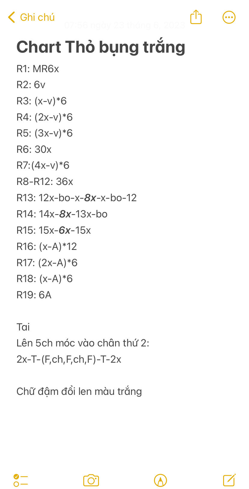 chart thỏ bụng trắng