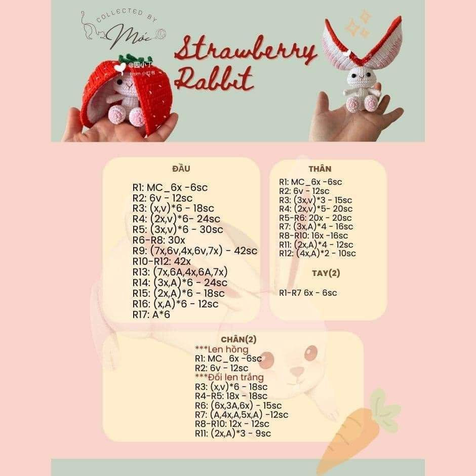 chart thỏ dâu tây