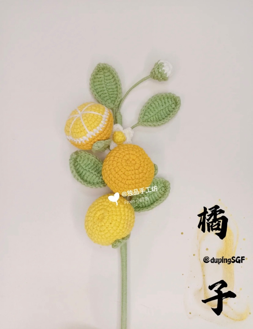 Collection of crochet patterns for 6 types of fruits and loquat fruits
