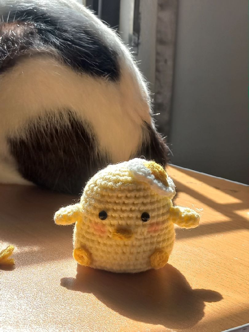 Crochet pattern for a chick wearing a big butt egg hat