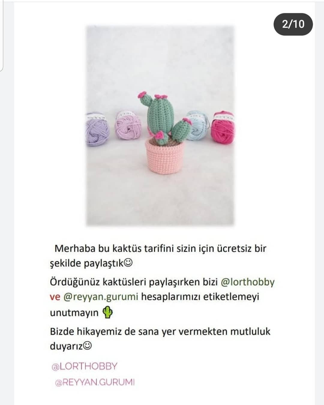 Kaktüs tığ işi modeli, pembe çiçekler,