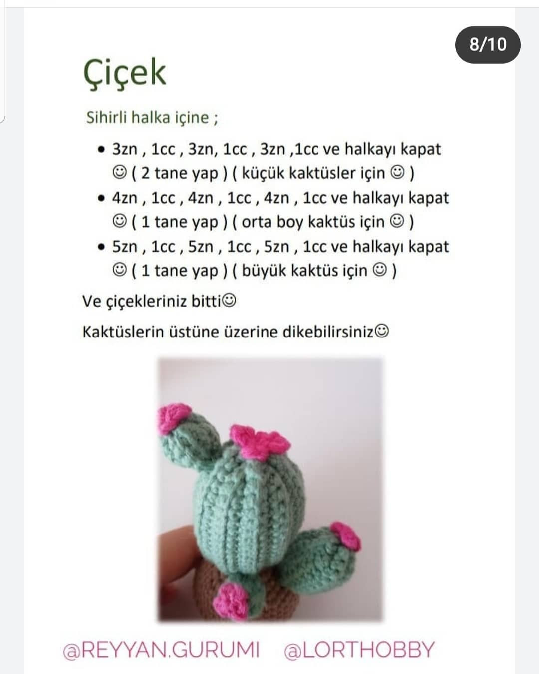 Kaktüs tığ işi modeli, pembe çiçekler,