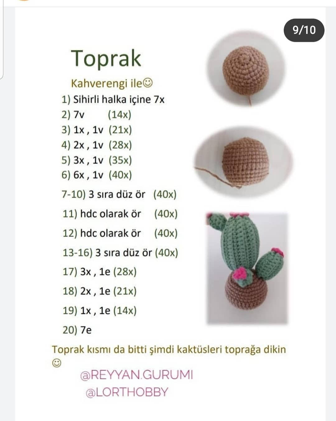 Kaktüs tığ işi modeli, pembe çiçekler,