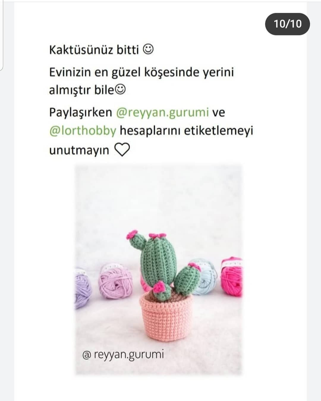 Kaktüs tığ işi modeli, pembe çiçekler,