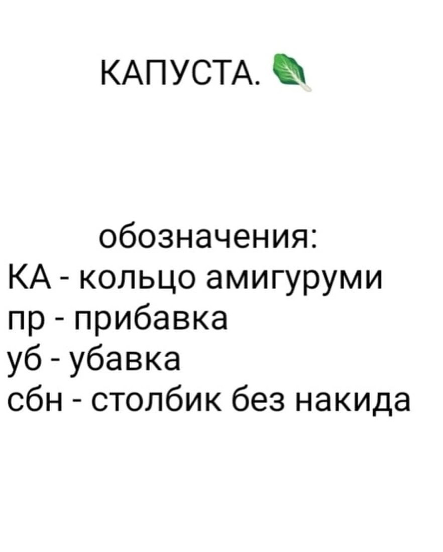 КАПУСТА.