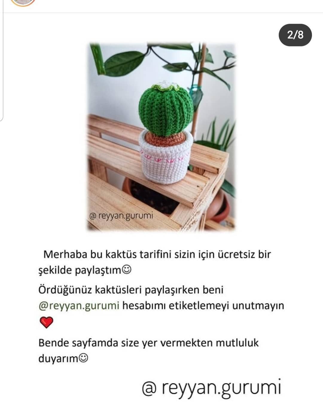 Mavi kaktüs saksıları ve beyaz bitki saksıları için tığ işi modeli.