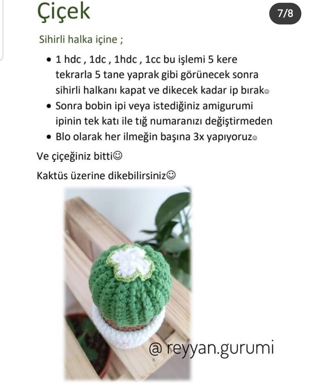 Mavi kaktüs saksıları ve beyaz bitki saksıları için tığ işi modeli.