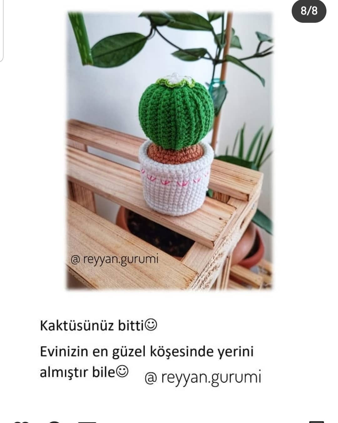 Mavi kaktüs saksıları ve beyaz bitki saksıları için tığ işi modeli.