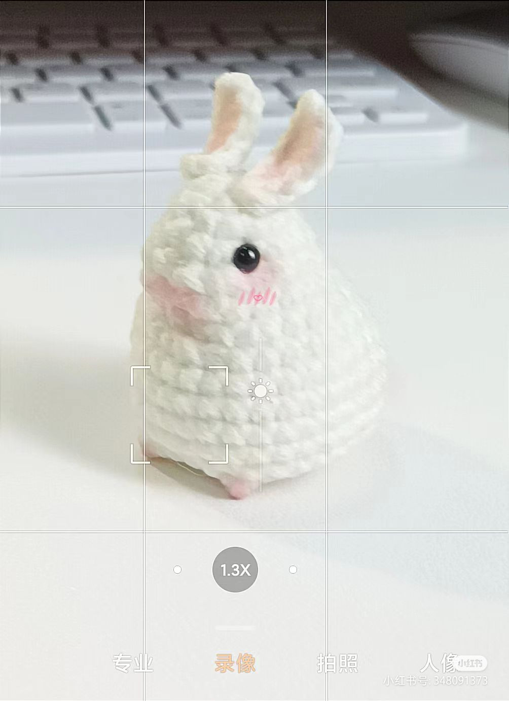 Realistic bunny crochet pattern