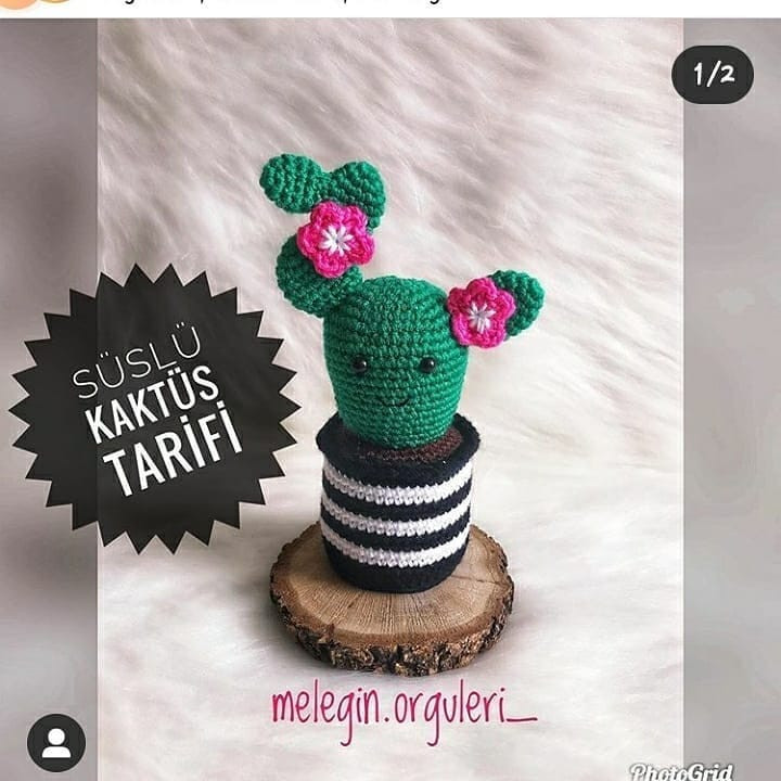 Şapka takan kaktüs saksısı tığ işi modeli.